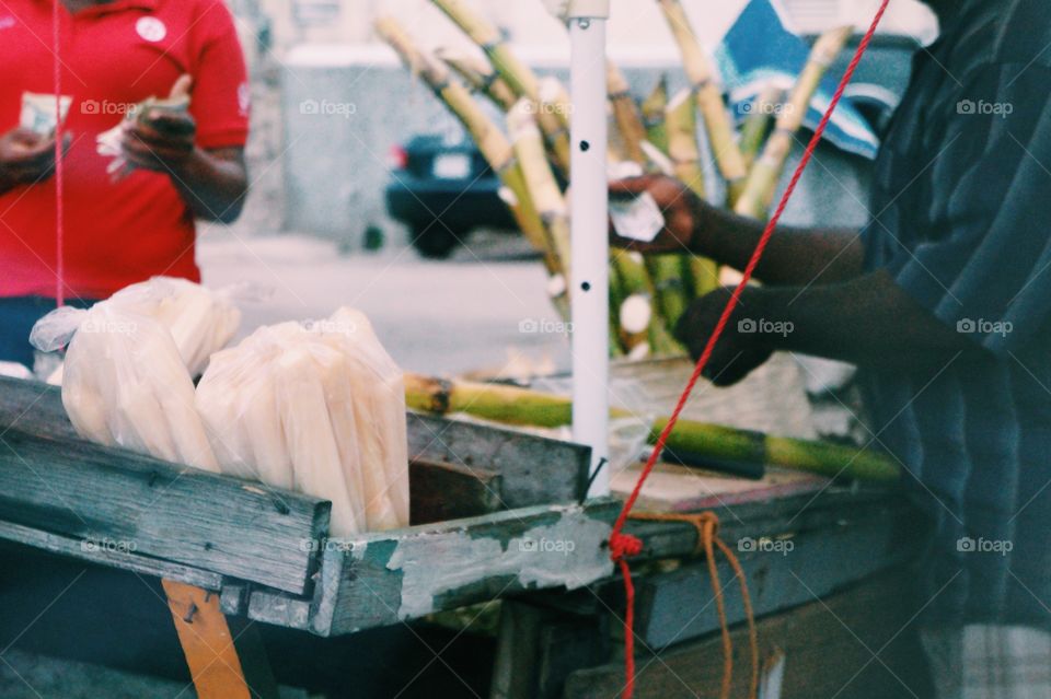 Cutting Sugarcane