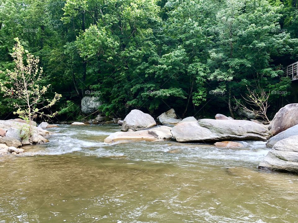 River and rocks