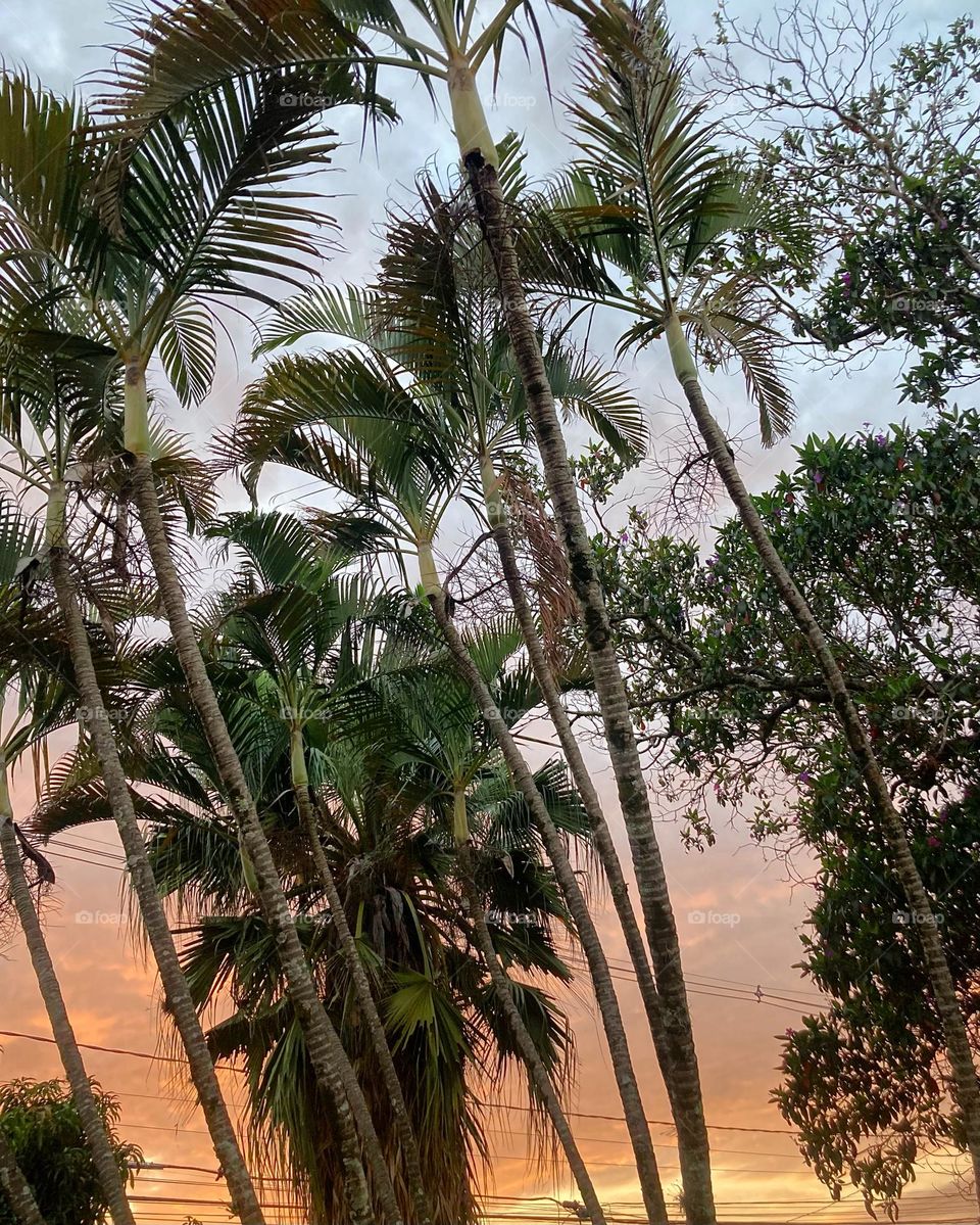 🌄🇺🇸 An extremely beautiful dawn in Jundiaí, interior of Brazil. Cheer the nature! / 🇧🇷 Um amanhecer extremamente bonito em Jundiaí, interior do Brasil. Viva a natureza! 
