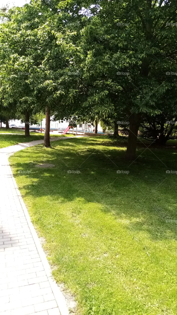 Park