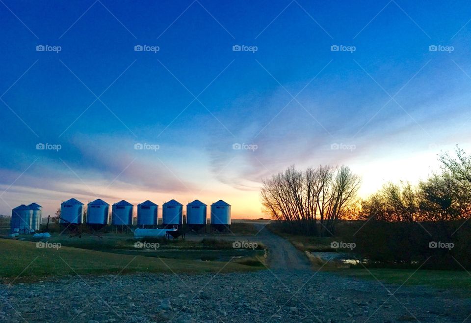 Autumn evening on the farm.