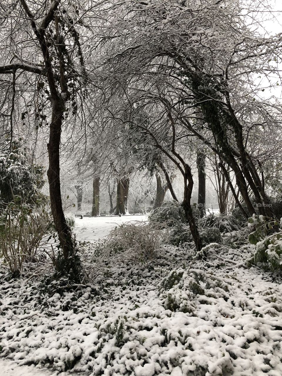 Snow, the netherlands 