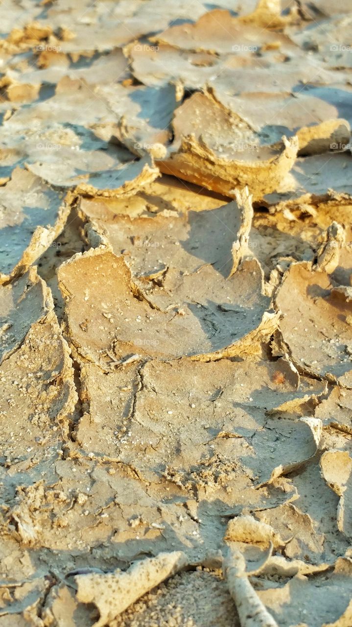 dried cracked mud