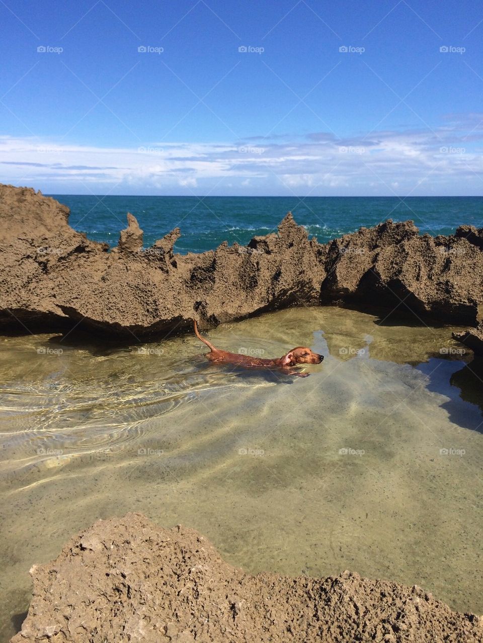 Natural Pool