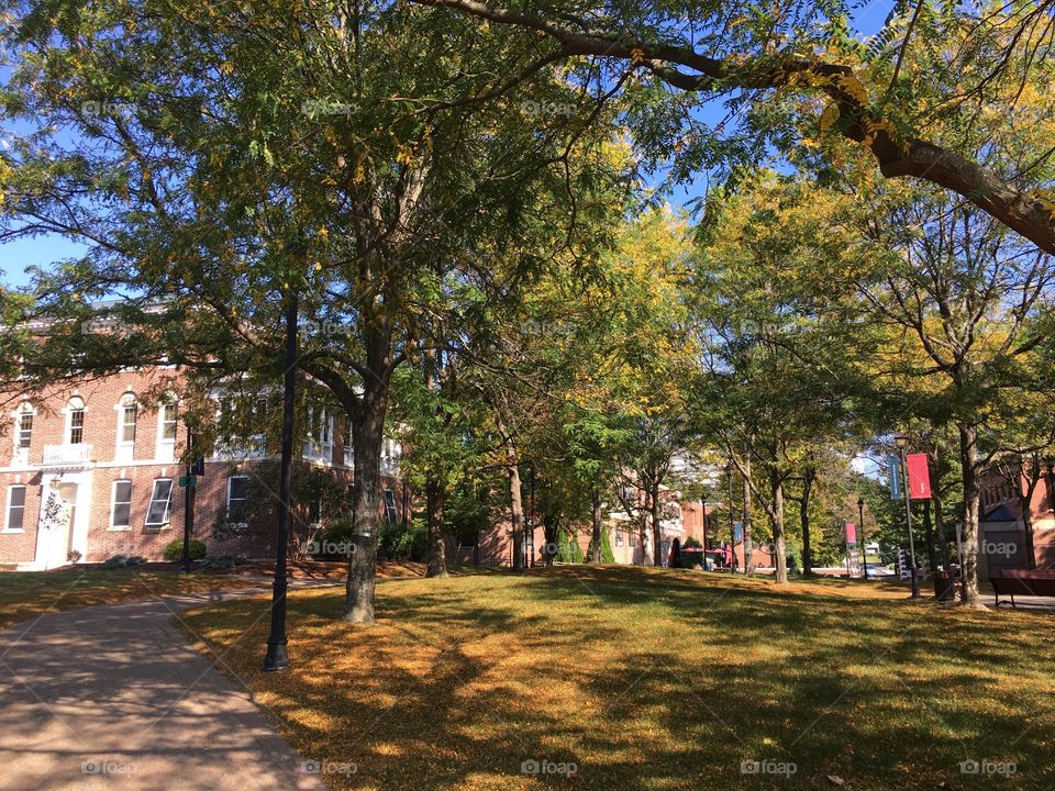 WCSU Midtown campus in fall