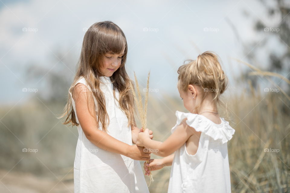 Two little sisters walking at cloudy summer day