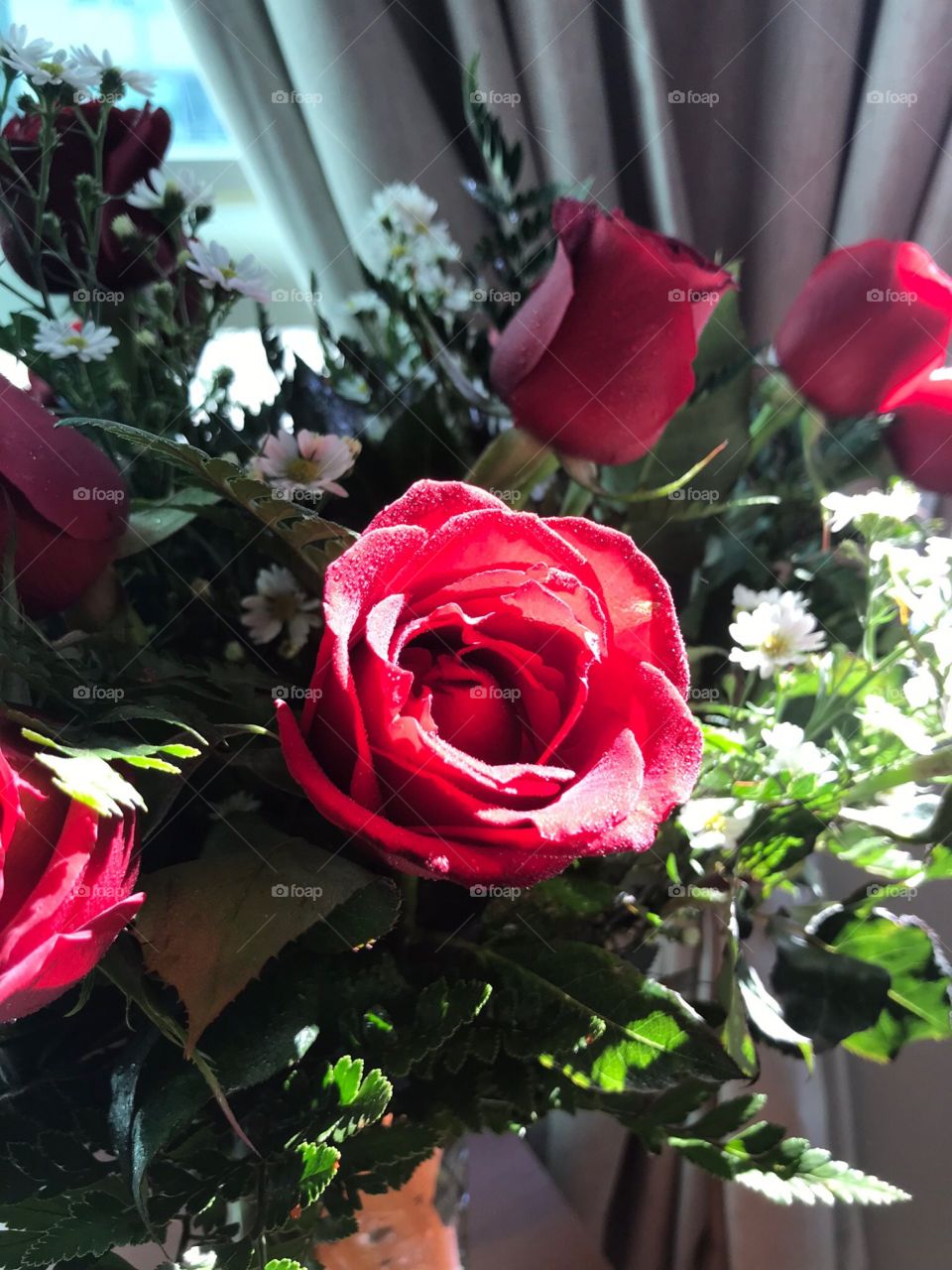 Red roses with small daisies
