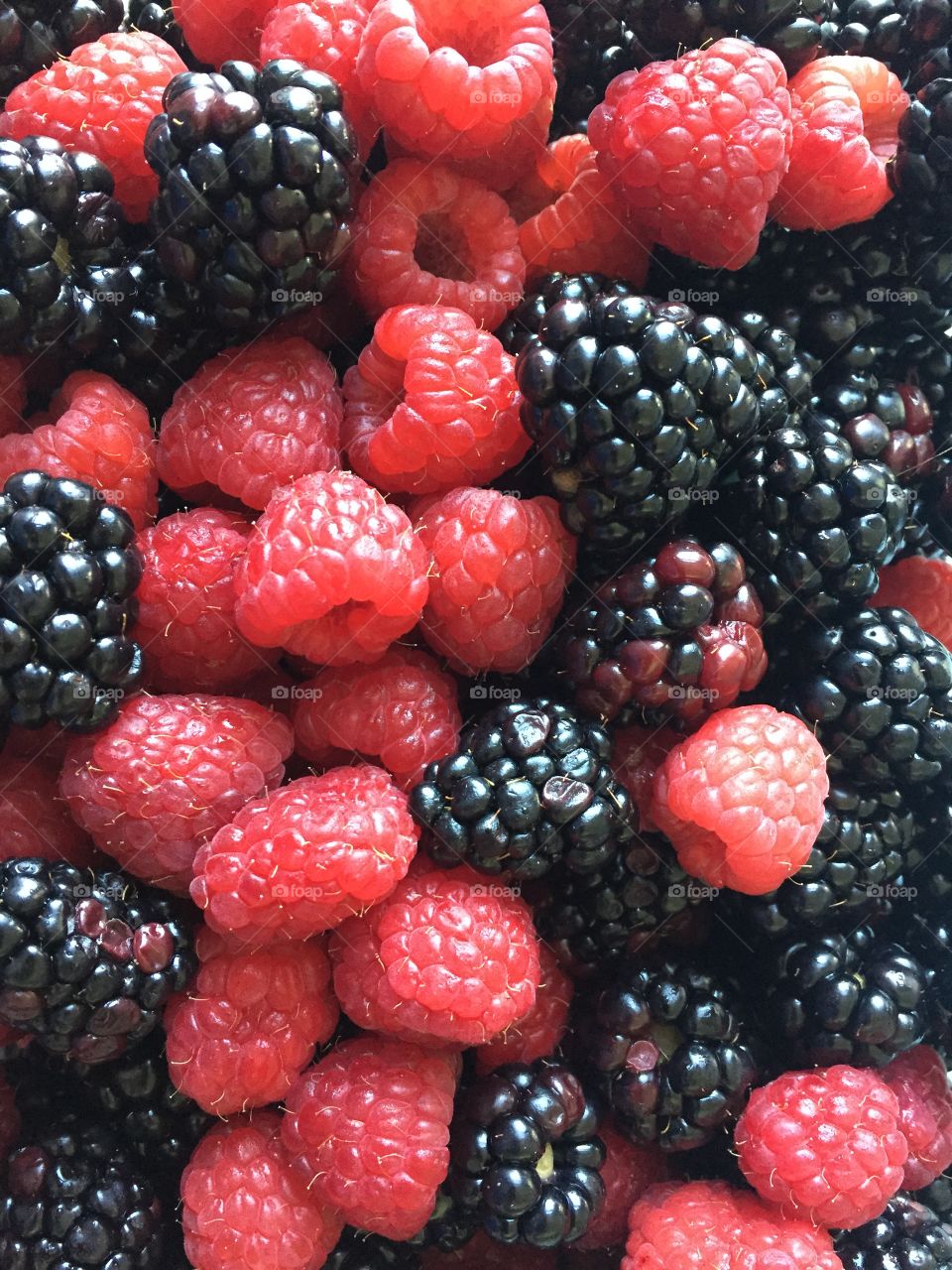 Berry bliss . Yummy (and freshly cleaned) black and rasp berries! Yum!