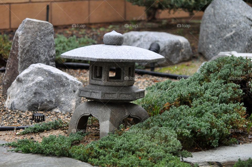 Japanese garden