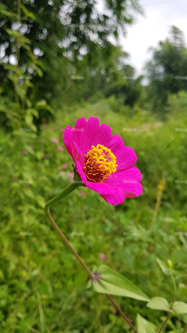 ပျော်ရွှင်ပါစေ 🙂🙂🙂🙂