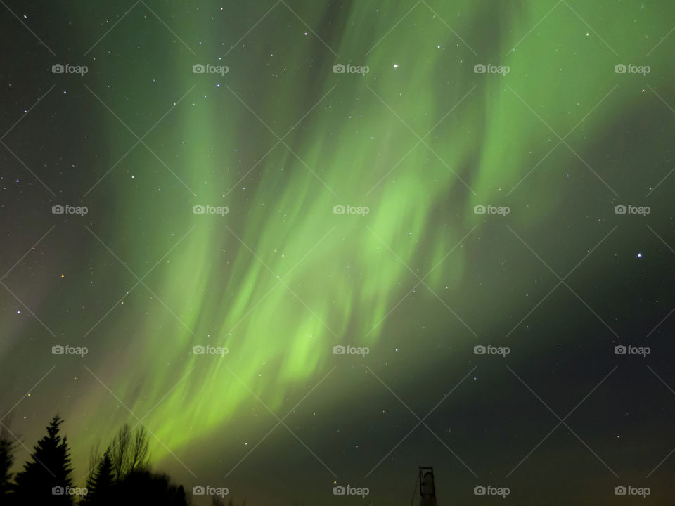Aurora borealis (northern lights) in Alberta, Canada