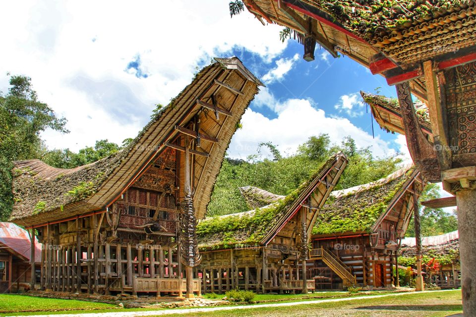 Tongkonan is a name of traditional house and heritage of people in tana toraja, sulawesi, indonesia