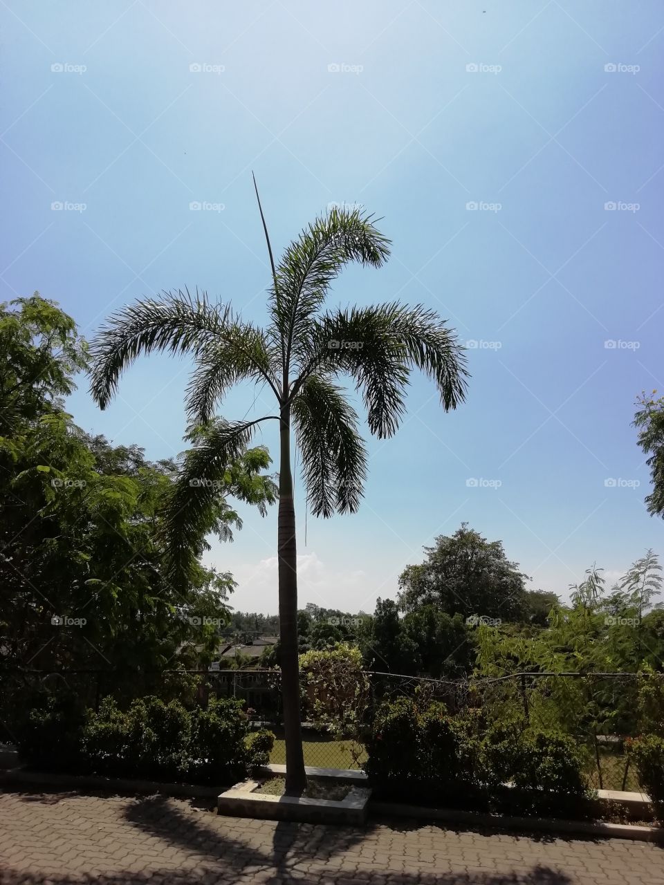 Peaceful and knowledge feeding surrounding