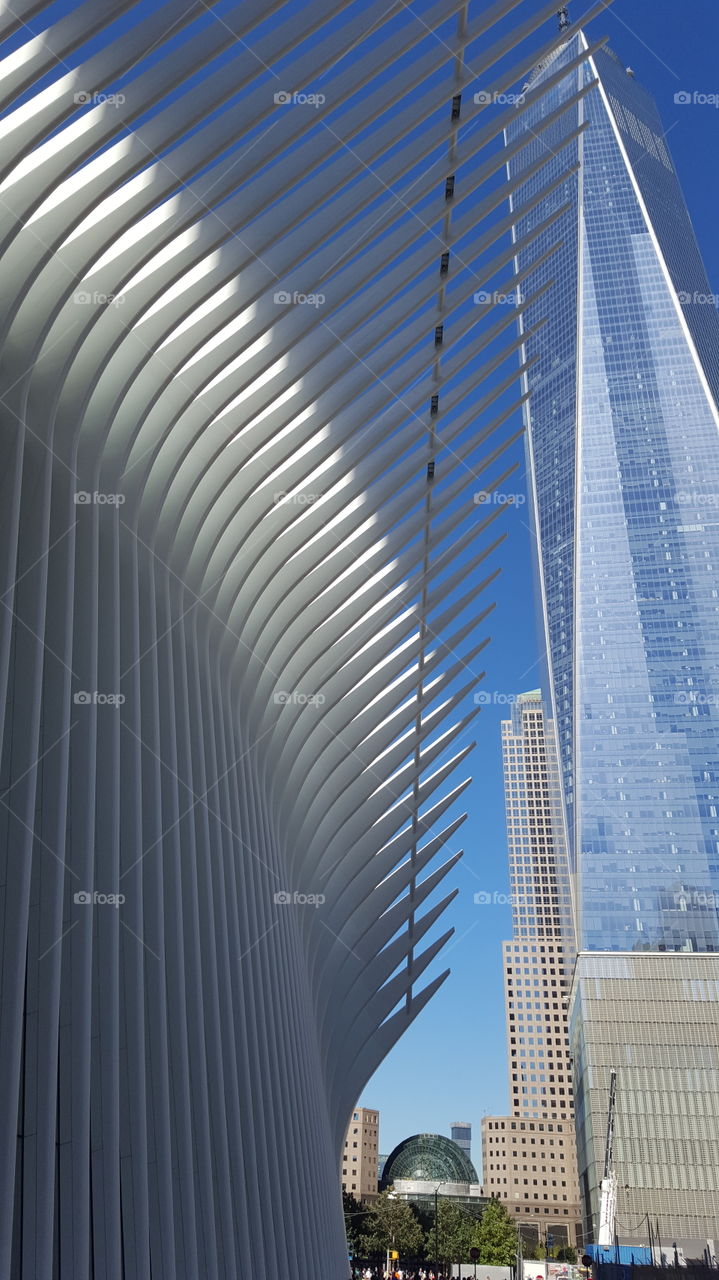 Oculus at World Trade Center