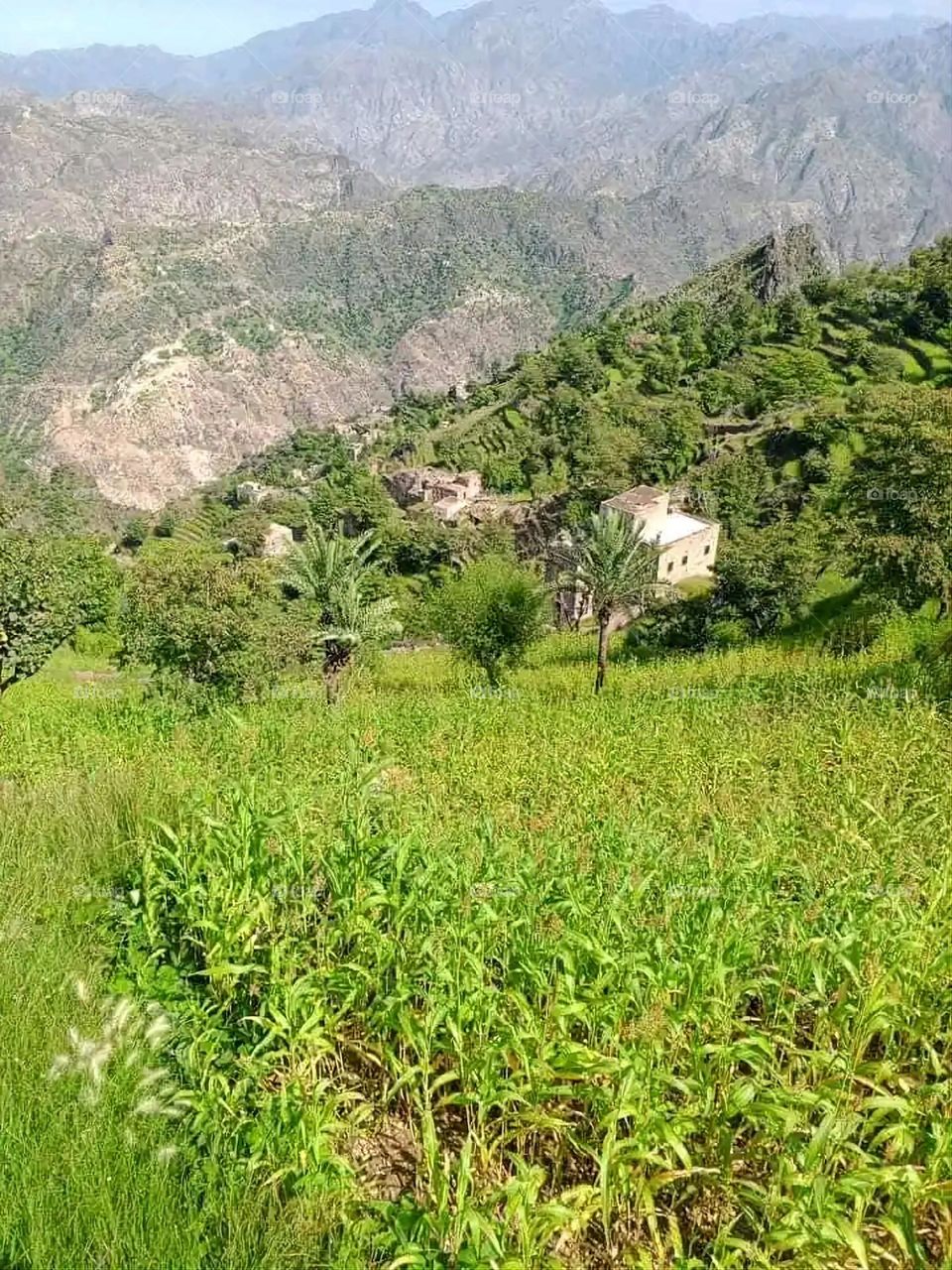 Glory be to God, the magnificent and picturesque view and the natural green trees are a view that is nothing more wonderful than it