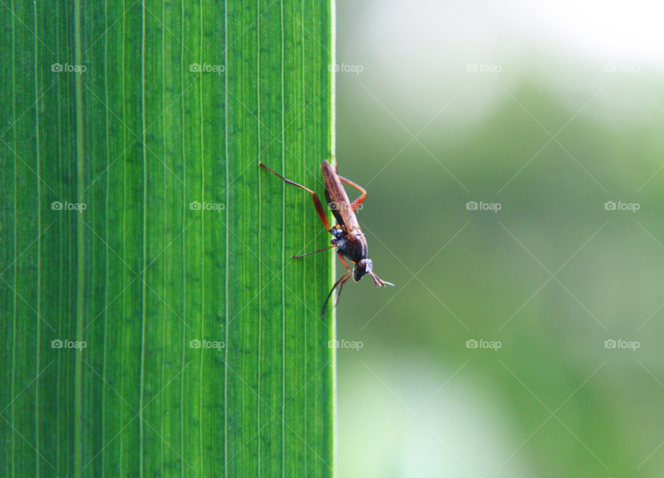 Symmetry and balance