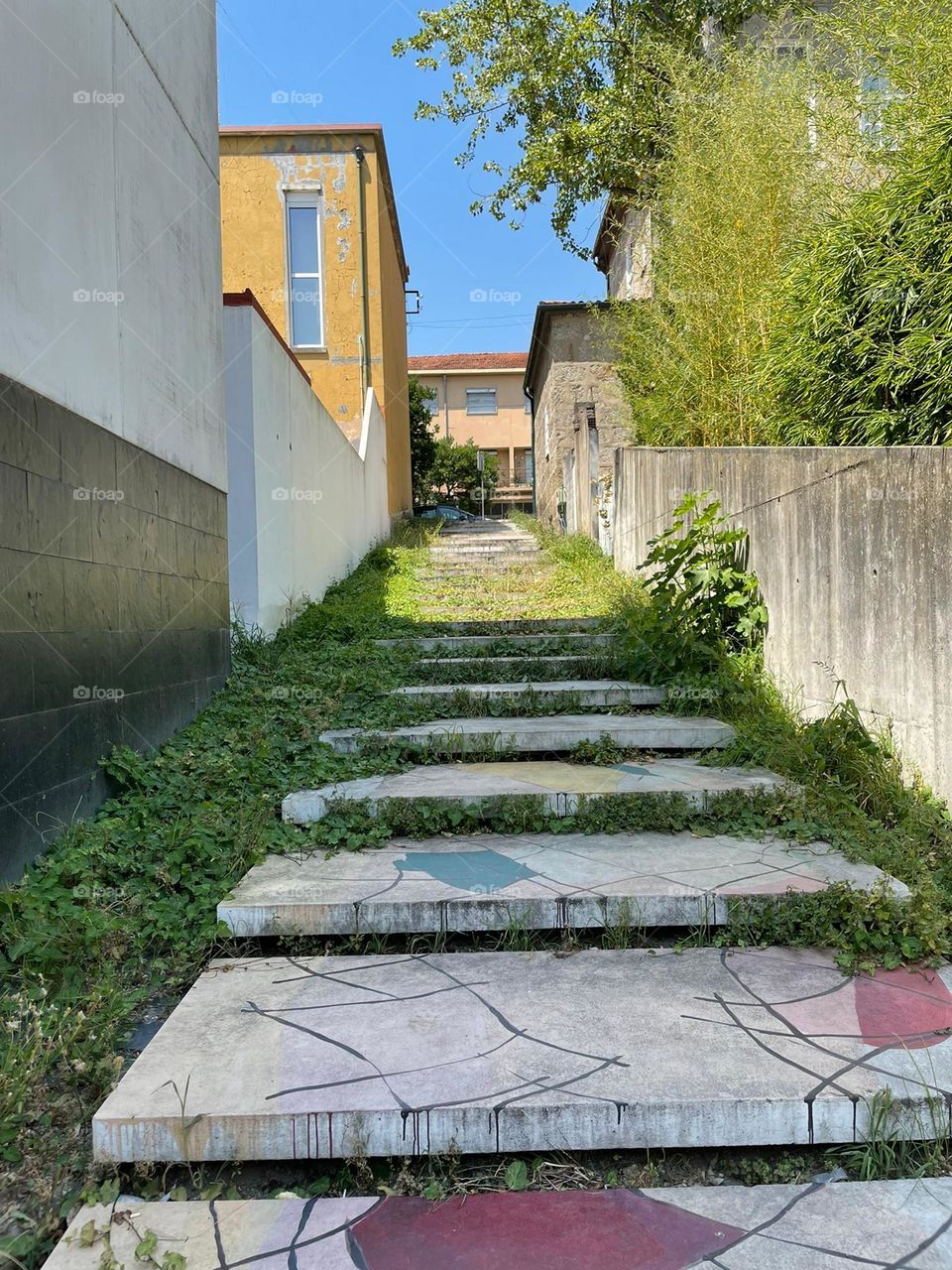 Art & Wild in Stairs