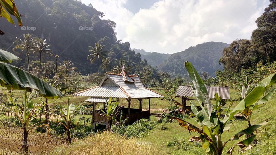a house in middle of faddy field