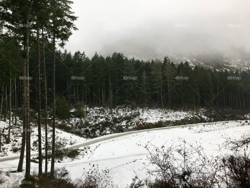 High angle view of snowy landscape