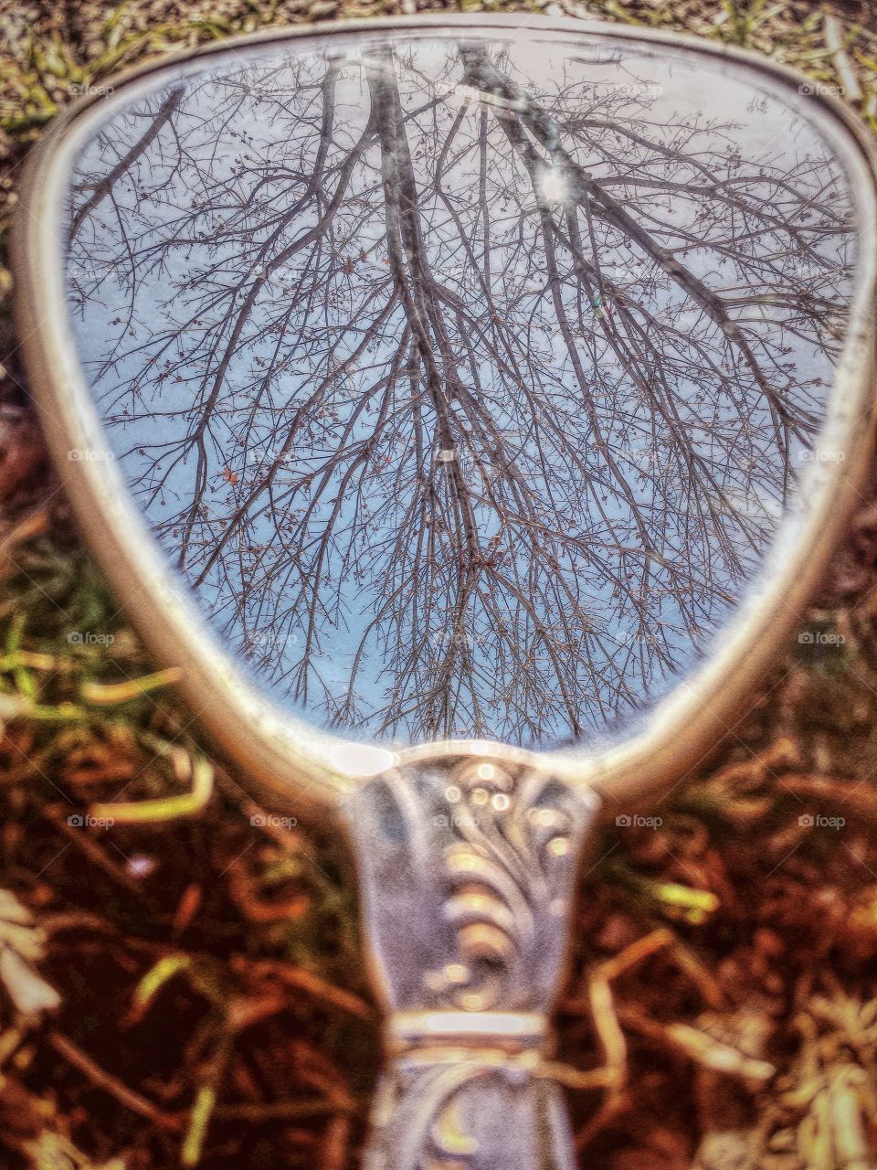 Vintage Hand Mirror Reflects Nature