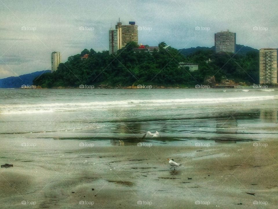 autumn morning. Itararé beach, Brazil