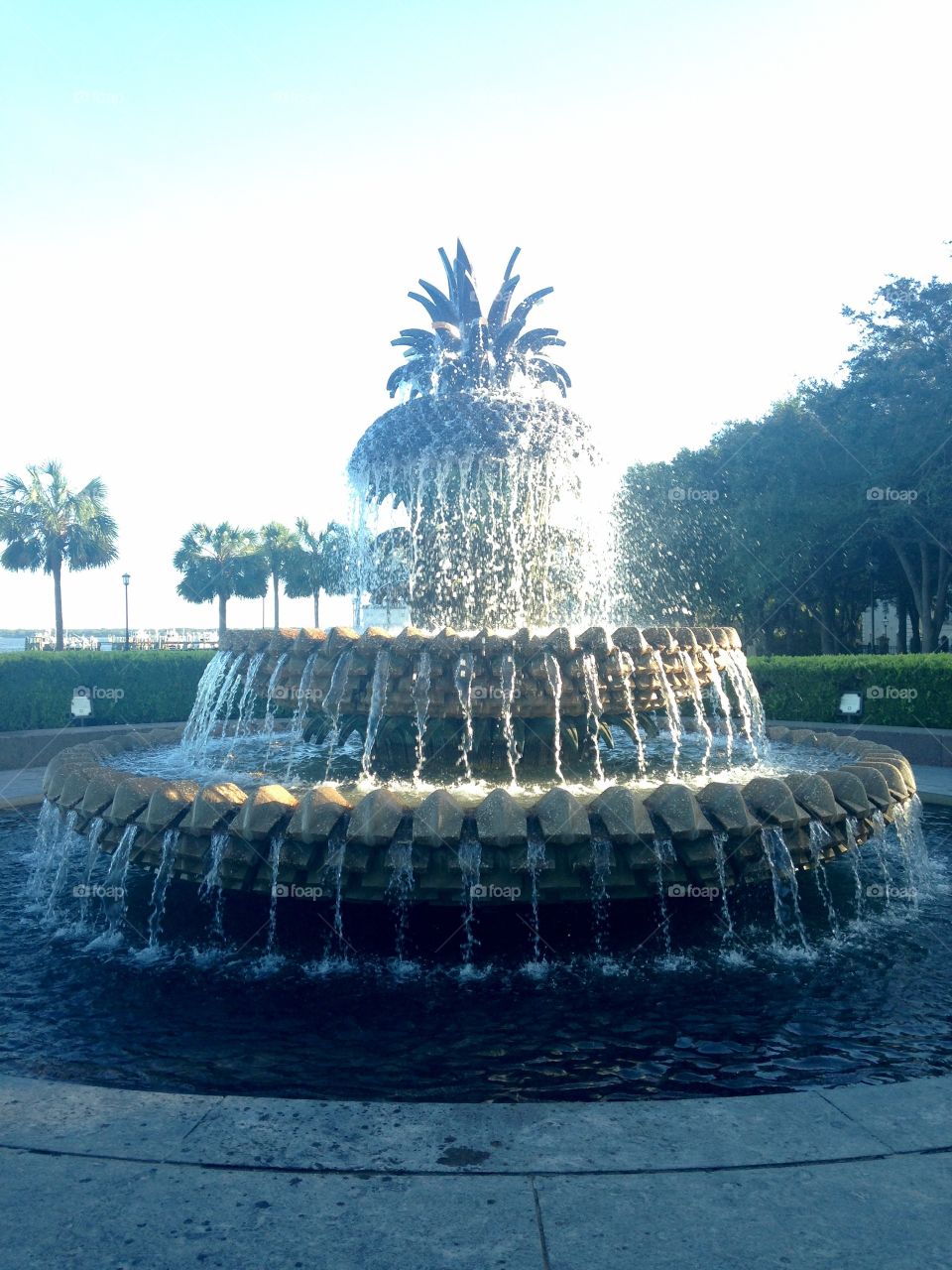 Pineapple Fountain 