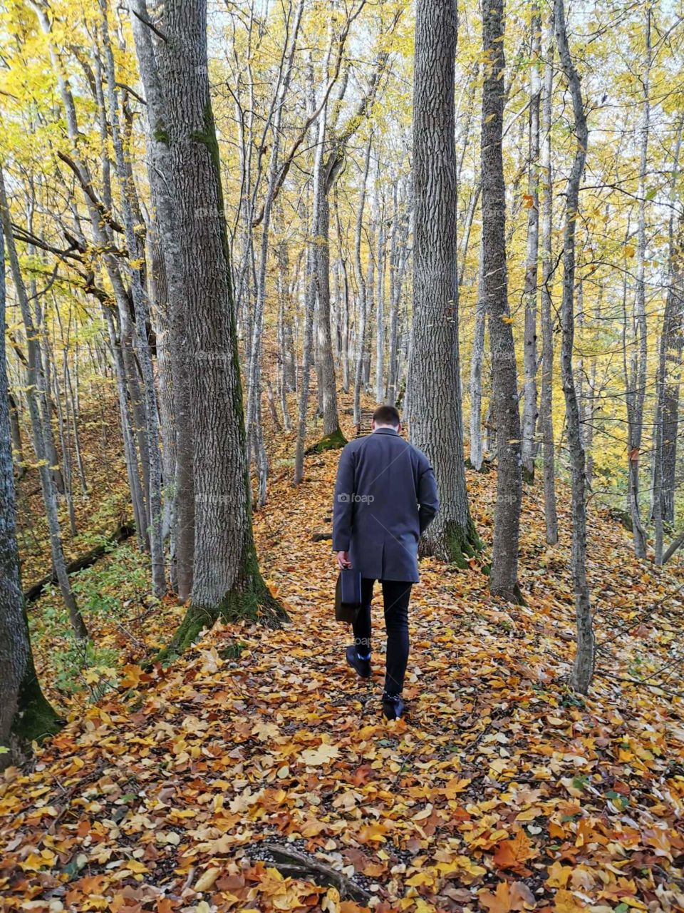 Exploring forest during autumn time.