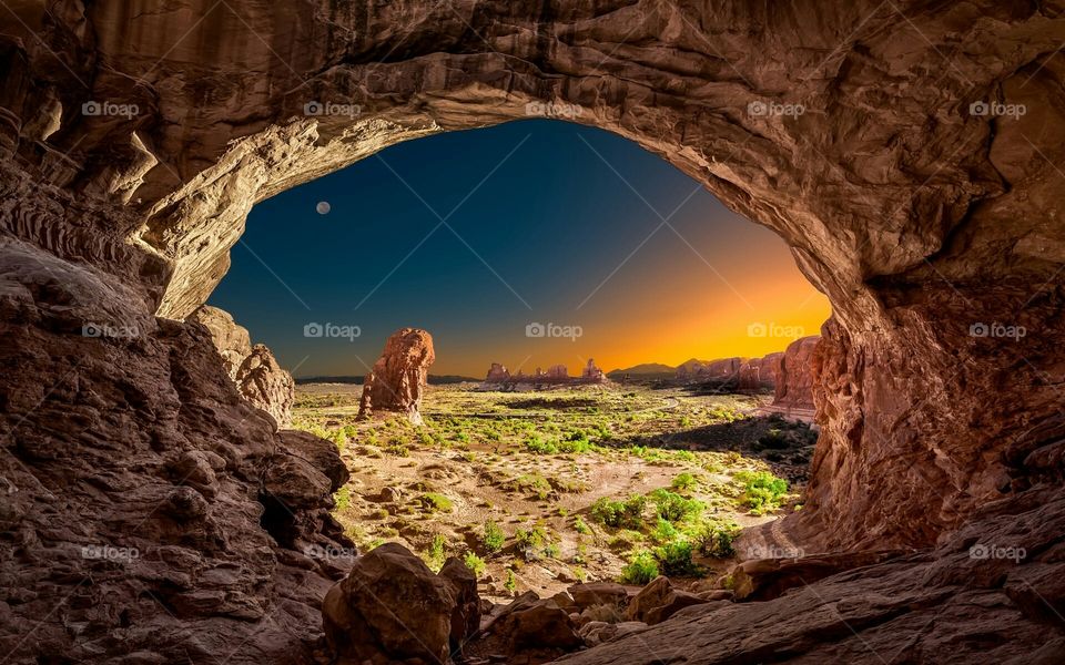 the shapes of nature