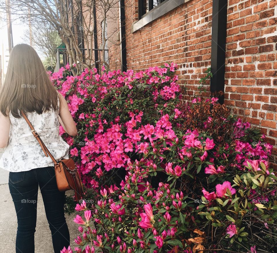 Walking down the street in Spring. Raleigh, NC. 
