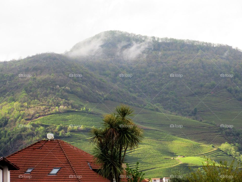 on camino de Santjago