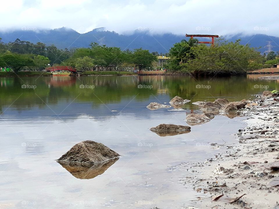 in simplicity nature shows us what is beautiful