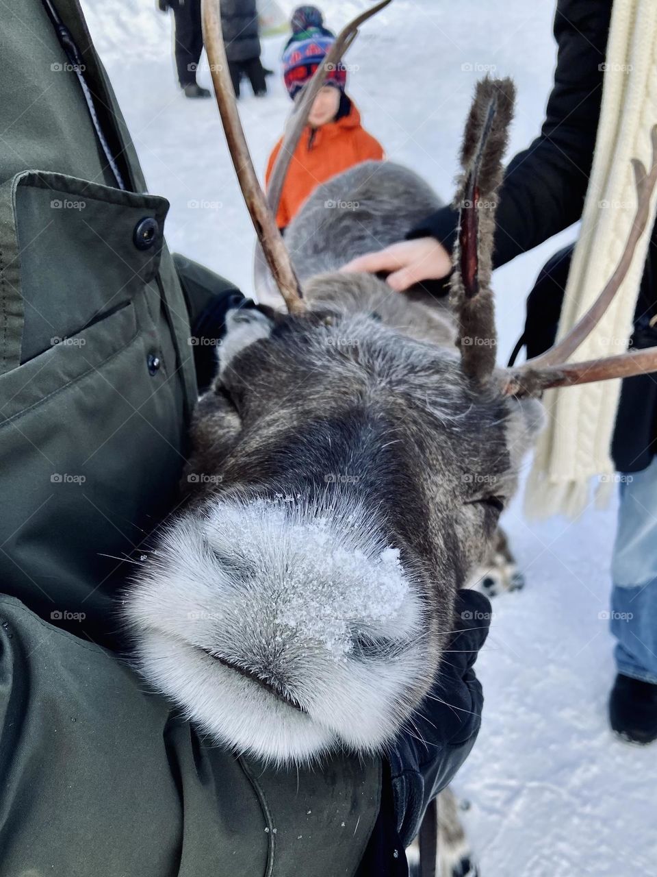 Rudolf