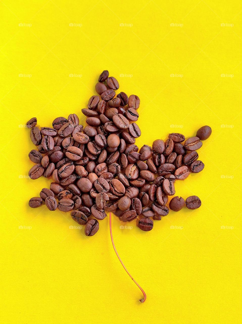 Yellow color.  On a yellow background, brown coffee beans in the shape of a maple leaf.  Contrast