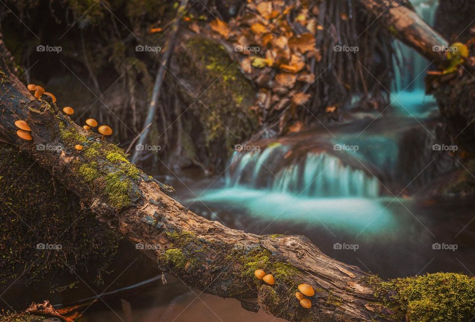 Watch the best exclusive royalty-free photo taken | by Abdul Rahman