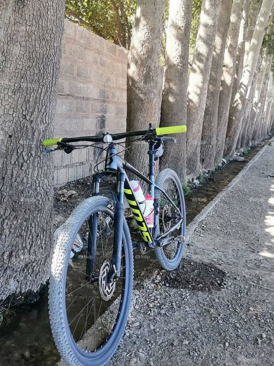 Riding a bicycle is the closest you can get to flying