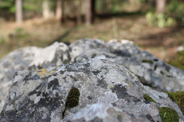 Nature, Rock, Stone, Desktop, Outdoors