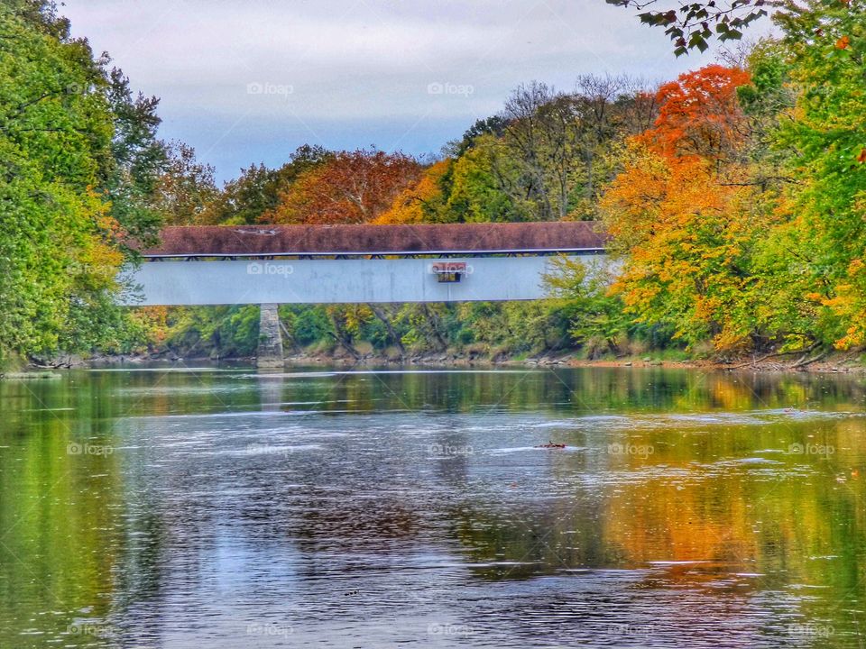 Reflection of autumn trees on river