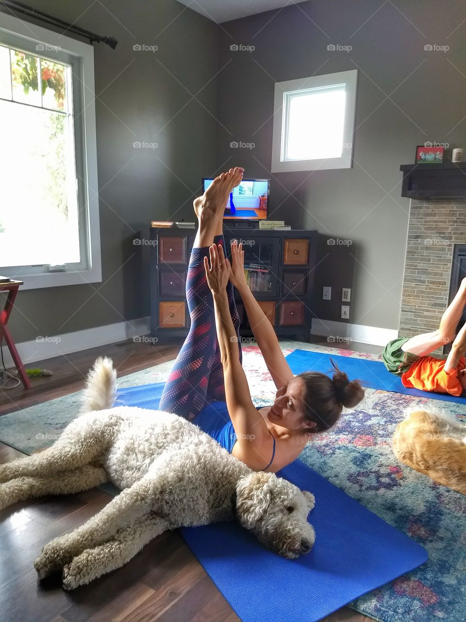 yoga with the dogs
