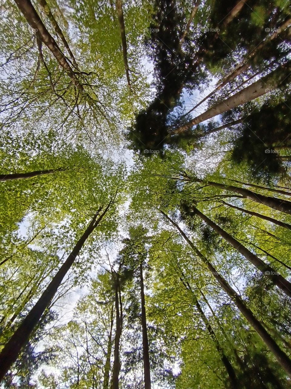 dont forget to look up