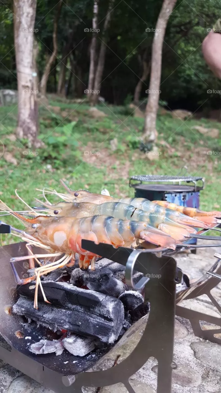 Camp Cook Shrimp