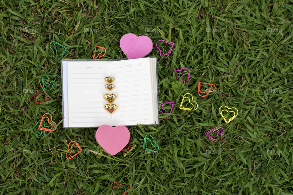 book love on the green grass