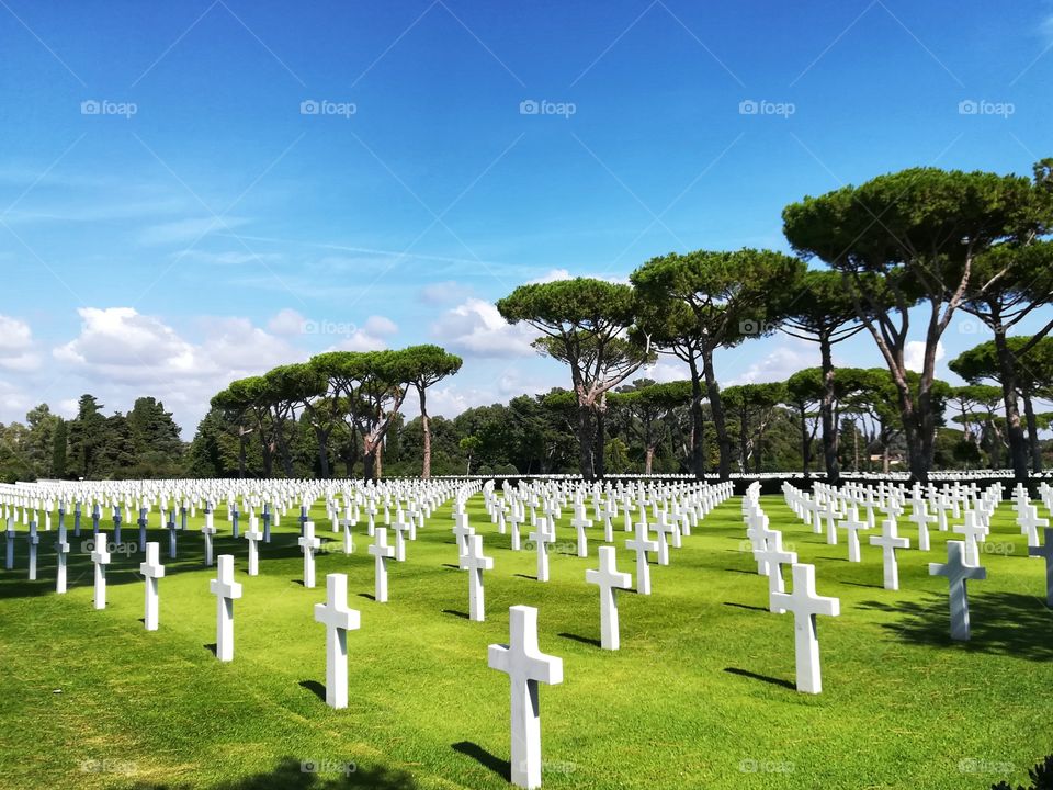 expanse of white crosses in the English cemetery of Anzio (Italy)