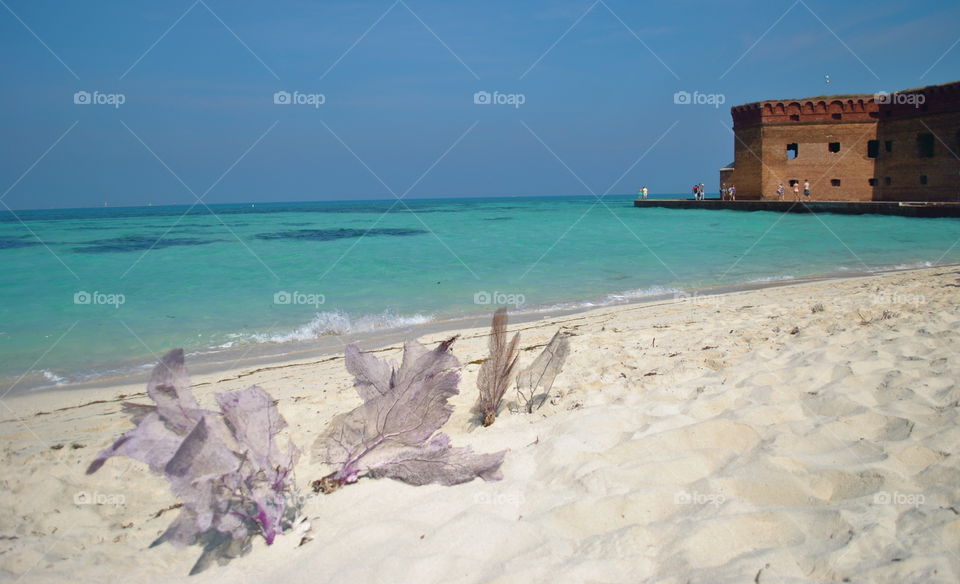 South Swim Beach. Dry Tortugas' South Swim Beach is the best place to swim and snorkel in the Garden Key, 70 miles west of Key West, FL