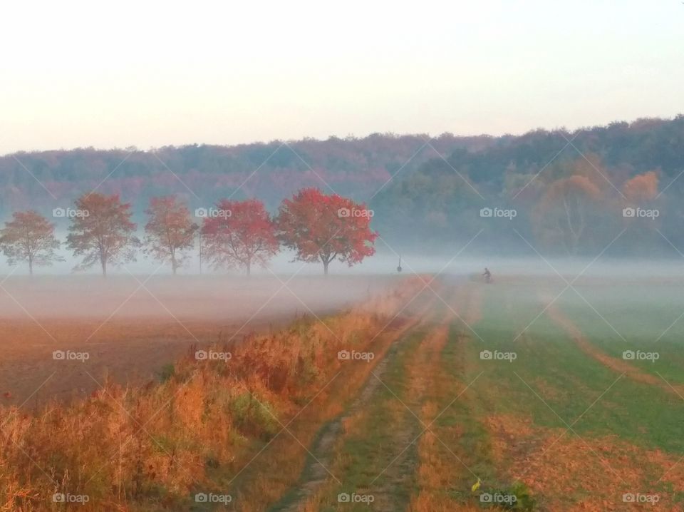 First signs of autumn