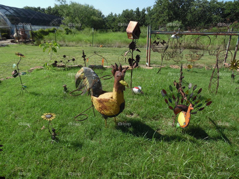 steel 🐓. This is a picture of a rooster that I saw in a flower garden at a local nursery near Jacksboro Texas