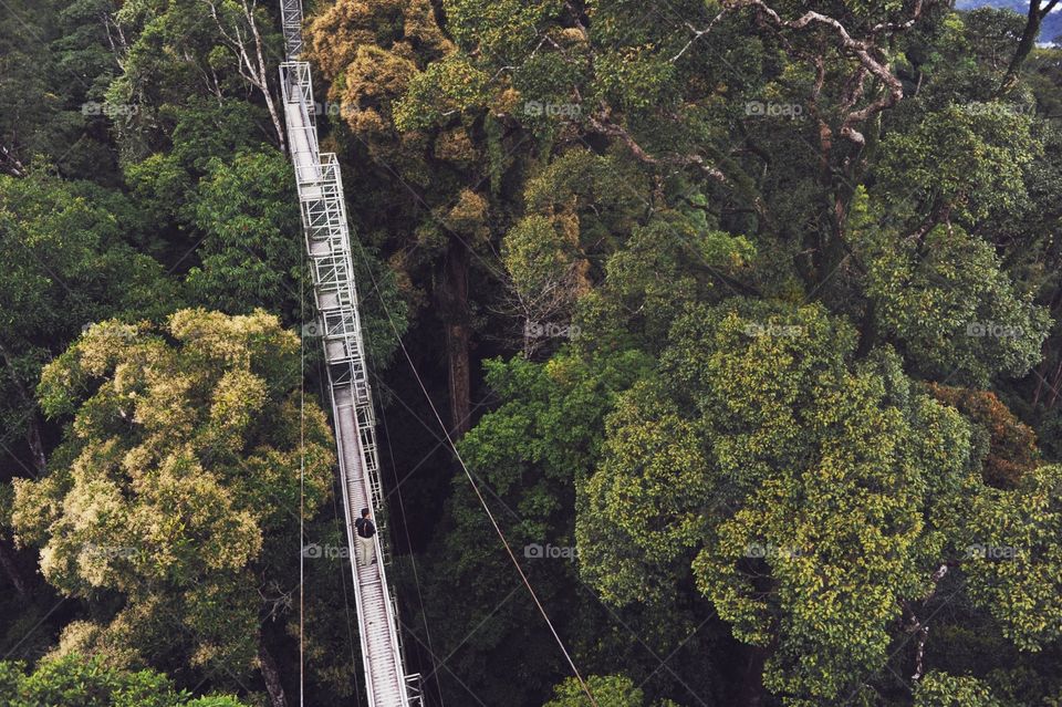 Treetops canopy walk at Ulu Temburong National Park, Brunei.