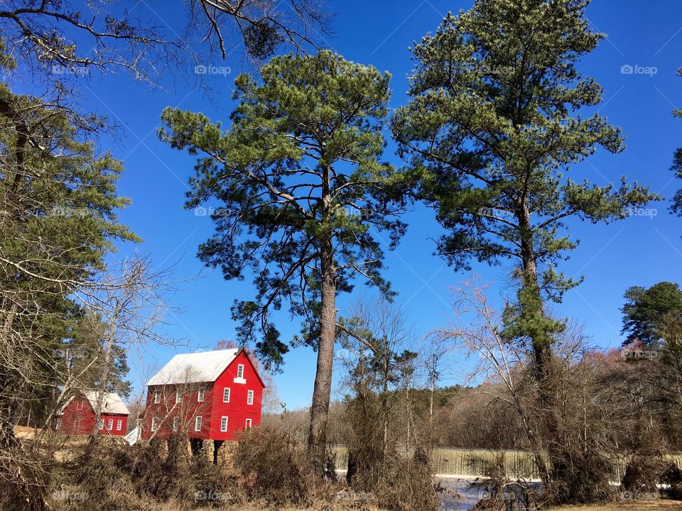 Old mill in trees