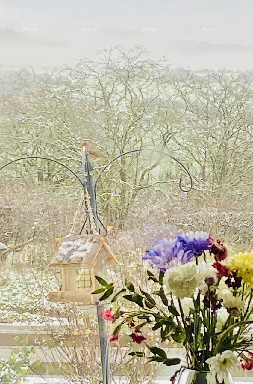 Wee Robin 🏴󠁧󠁢󠁳󠁣󠁴󠁿