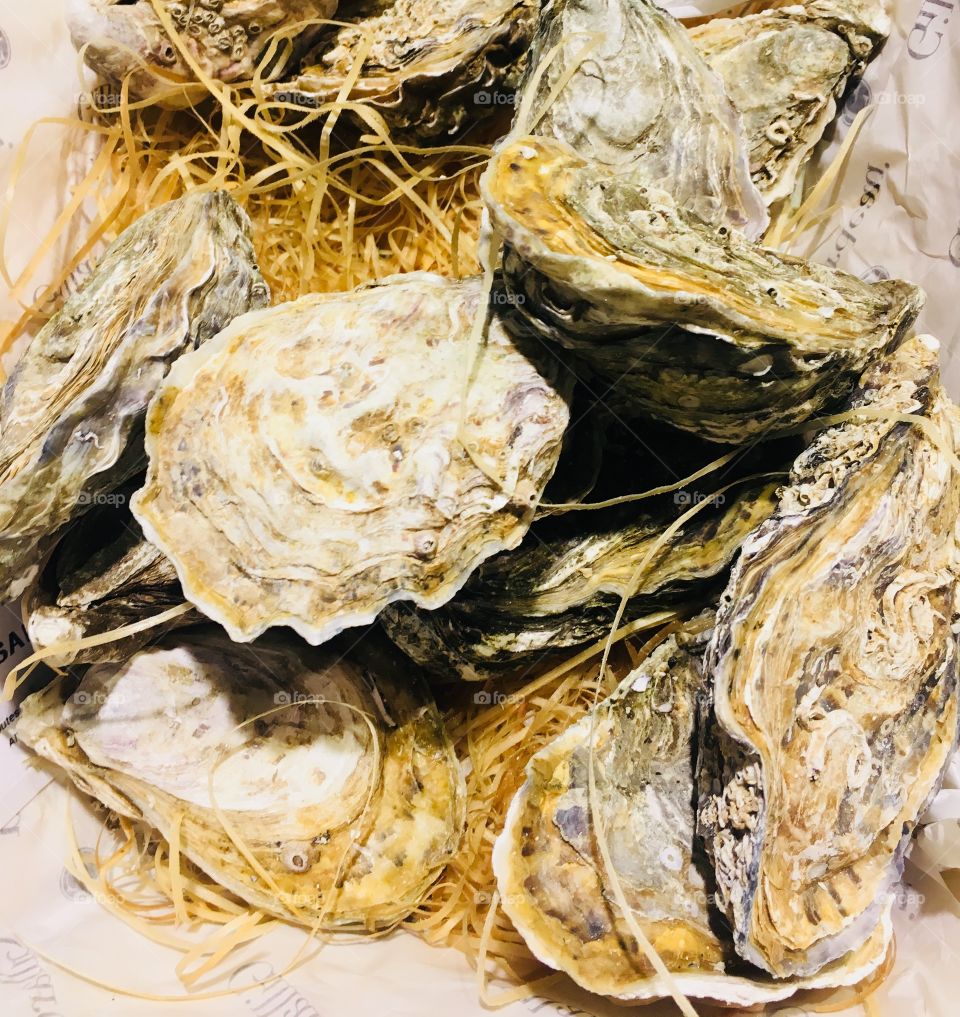 Fresh big oyster at fish market in Taipei, taiwan