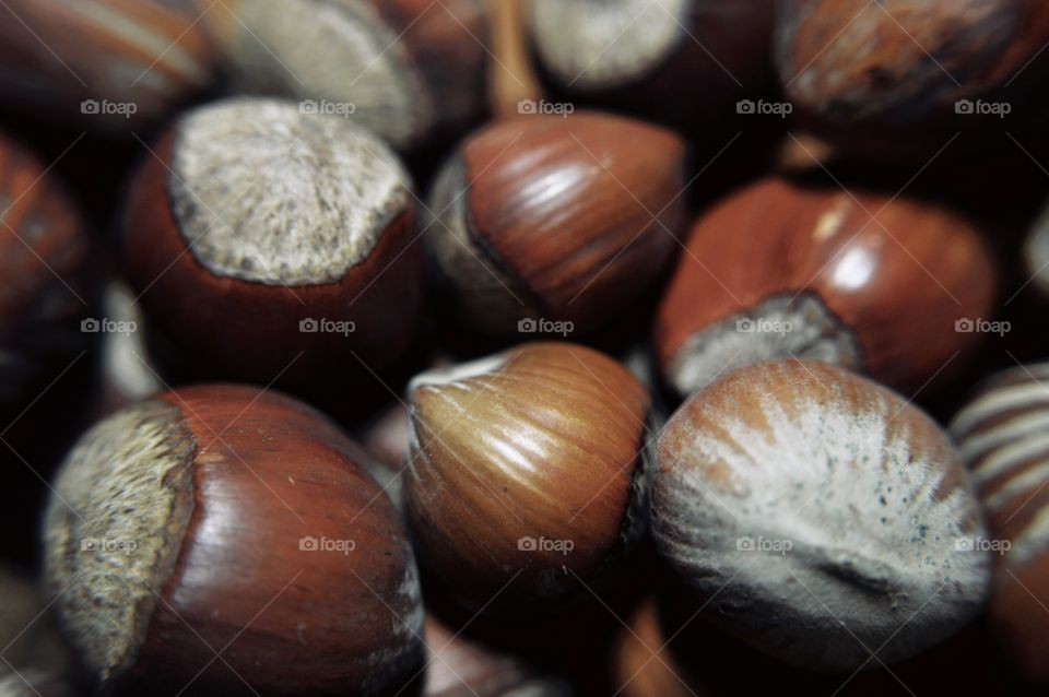 Nut, Food, No Person, Fall, Hazelnut Tree